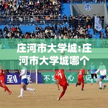 庄河市大学城:庄河市大学城哪个地方开的花多