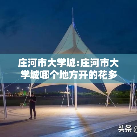 庄河市大学城:庄河市大学城哪个地方开的花多