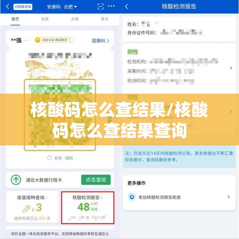 核酸码怎么查结果/核酸码怎么查结果查询