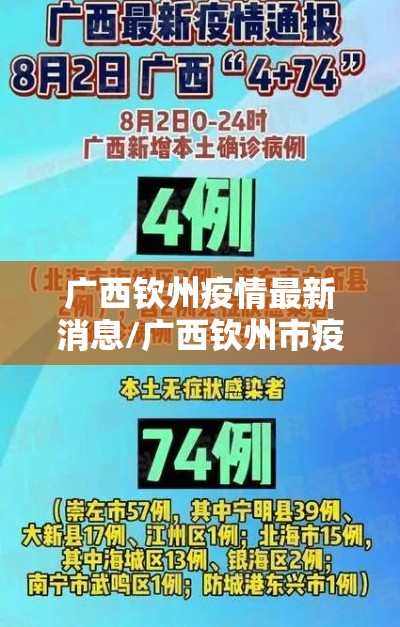 广西钦州疫情最新消息/广西钦州市疫情最新动态