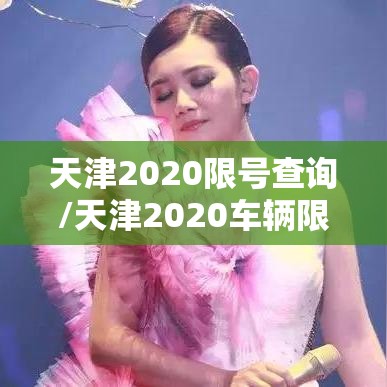 天津2020限号查询/天津2020车辆限号